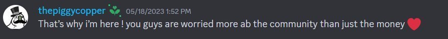 Discord testimonial: That's why i'm here! you guys are worried more ab the community than just the money